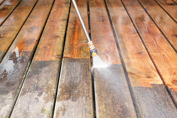 Professional Pressure Washing in East Brewton, AL